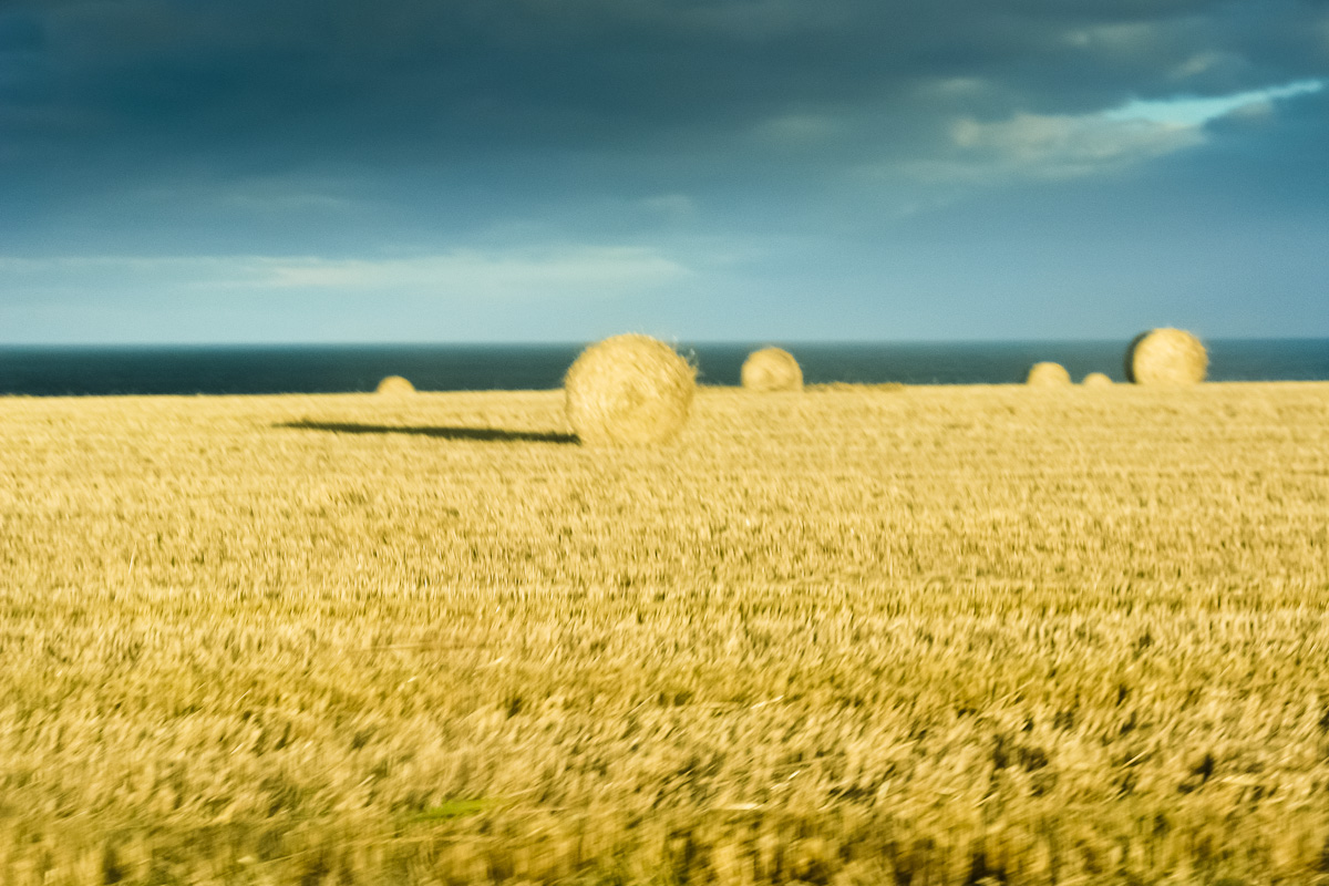 Yuri Evangelista - Street Photography - tumbleweeds