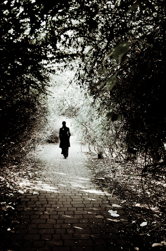 Yuri Evangelista - Street Photography - The path