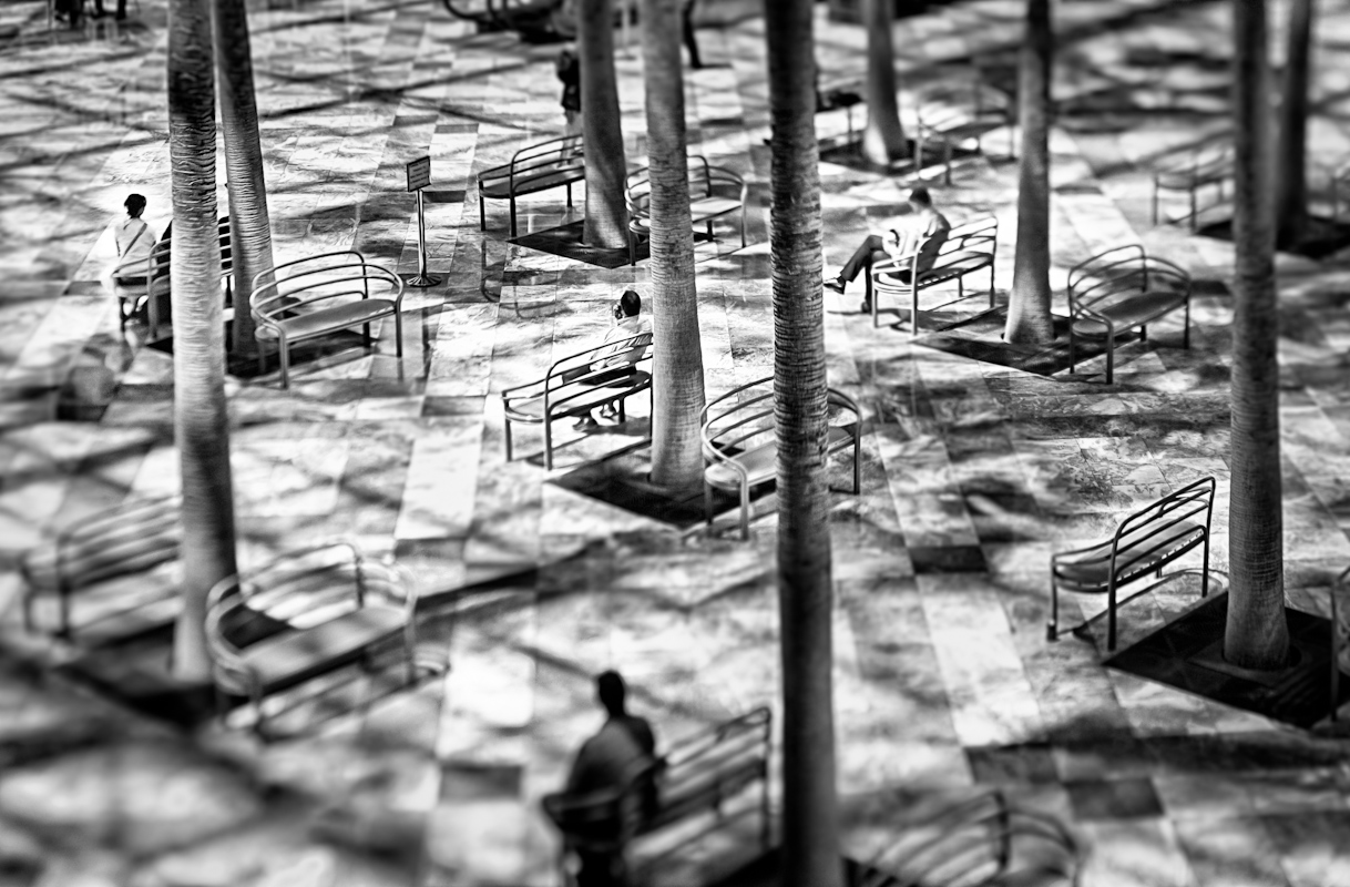 Yuri Evangelista - Street Photography - scattered
