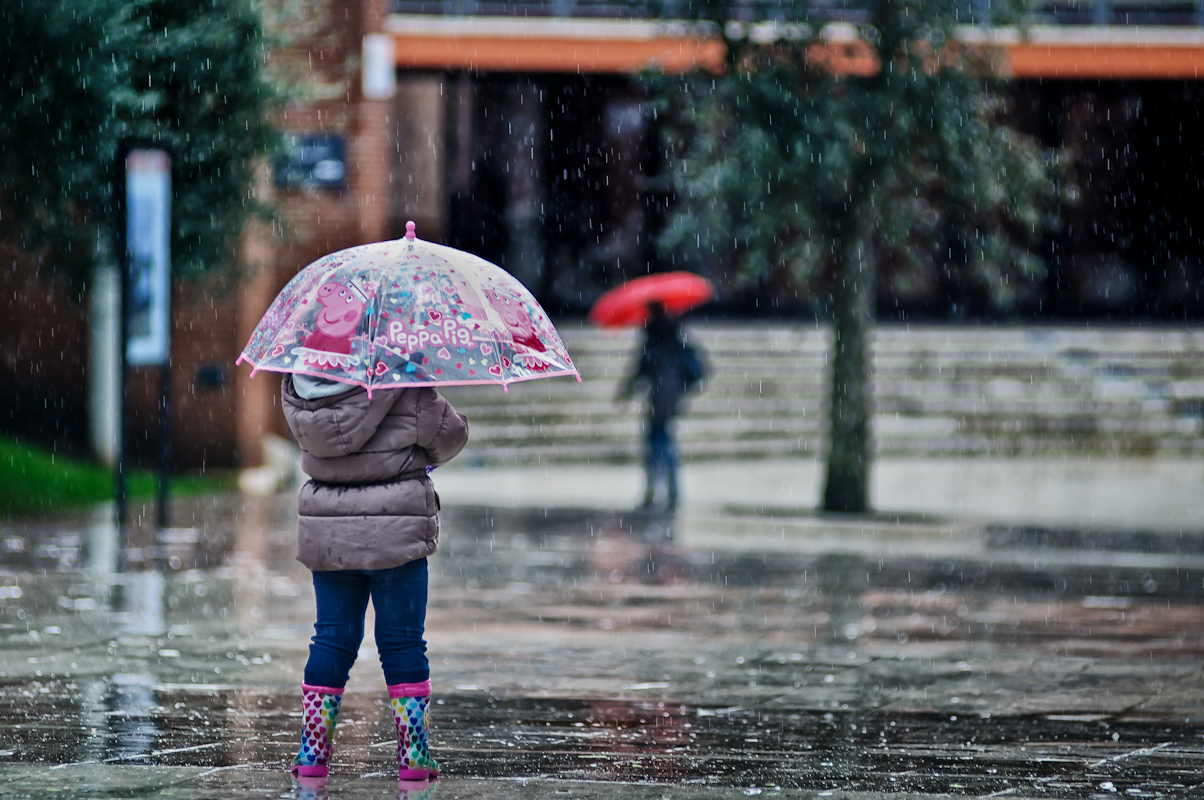 Yuri Evangelista - Street Photography - peppa pig