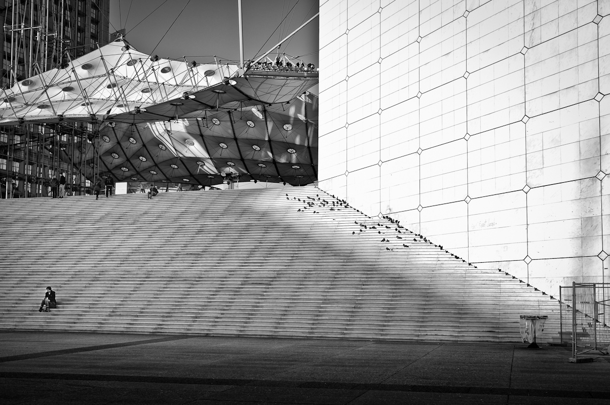 Yuri Evangelista - Street Photography - Les pigeons