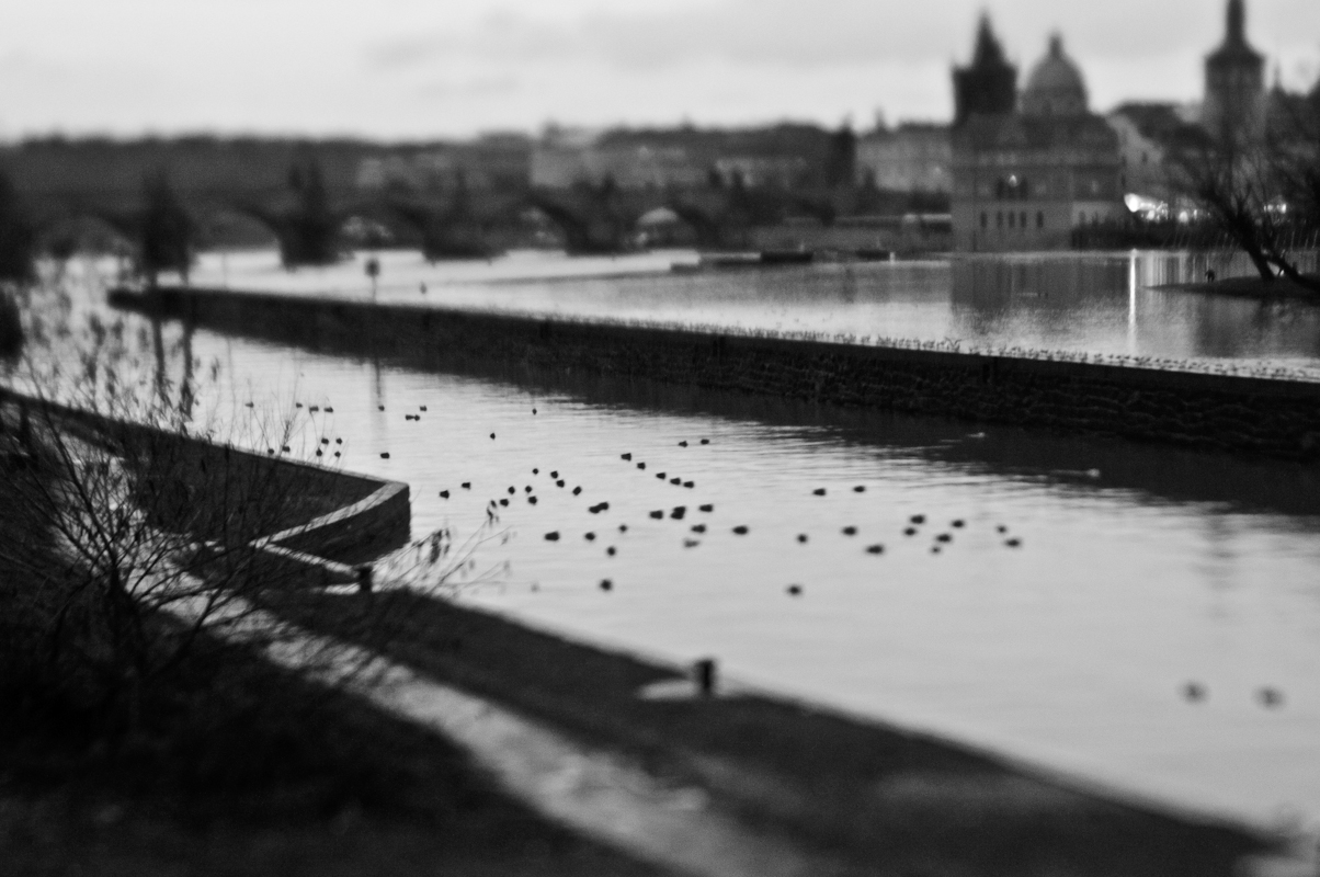 Yuri Evangelista - Street Photography - the traveller's rest