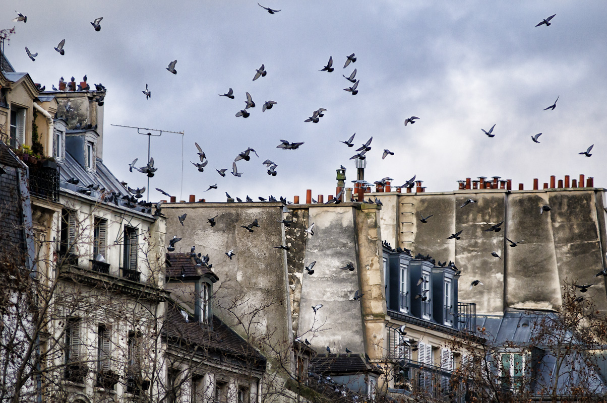 Yuri Evangelista - Street Photography - le Rendez-vous